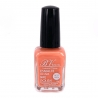 Esmalte normal  Nº11