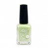 Esmalte Normal Nº100