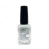 Esmalte Normal Nº111