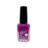 Esmalte Normal Nº113