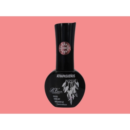 Atrapasueños Nº 98